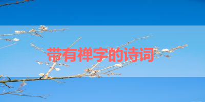 带有禅字的诗词 