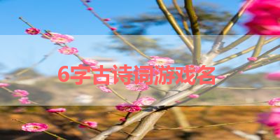 6字古诗词游戏名 