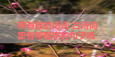 带有程的诗词 古诗词里有带程字的句子吗 