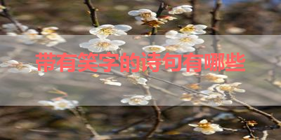 带有笑字的诗句有哪些 
