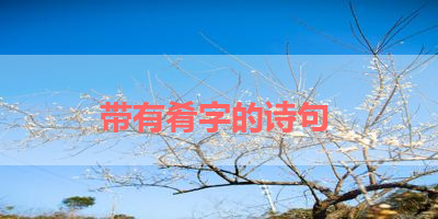 带有肴字的诗句 