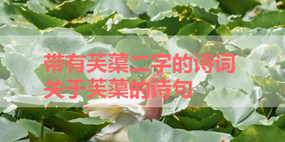 带有芙蕖二字的诗词 关于芙蕖的诗句 