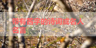 带有茜字的诗词或名人名言 