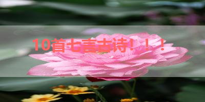 10首七言古诗！！！ 