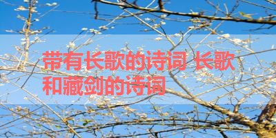 带有长歌的诗词 长歌和藏剑的诗词