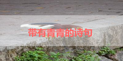 带有青青的诗句 