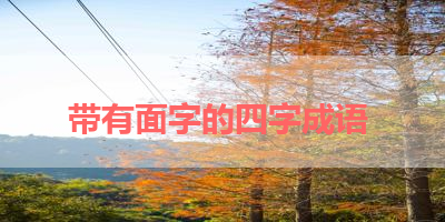 带有面字的四字成语 