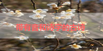 带有音和诗字的古诗 