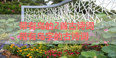 带有鸟的2首古诗词 带有鸟字的古诗词