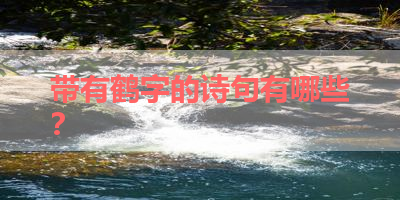 带有鹤字的诗句有哪些？ 