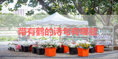 带有鹤的诗句有哪些 