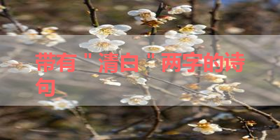 带有＂清白＂两字的诗句 