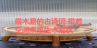 带木易的古诗词 带着空间来重生木易秋