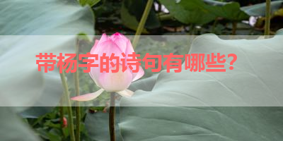 带杨字的诗句有哪些？ 