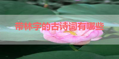 带林字的古诗词有哪些 