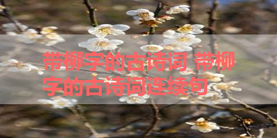 带柳字的古诗词 带柳字的古诗词连续句