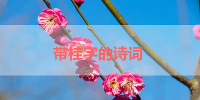 带桂字的诗词 