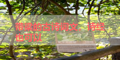 带梁的古诗词文，诗经也可以 