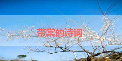 带棠的诗词 