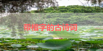 带楷字的古诗词 