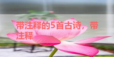 带注释的5首古诗，带注释 