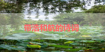 带浩和航的诗词 