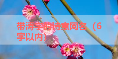带涛字的诗意网名（6字以内） 