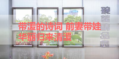 带湲的诗词 前妻带娃华丽归来清湲