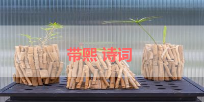 带熙 诗词 