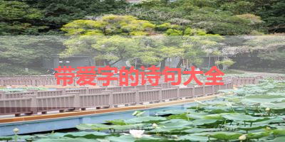 带爱字的诗句大全 