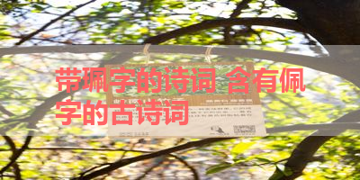 带珮字的诗词 含有佩字的古诗词 