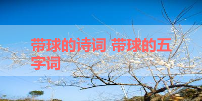 带球的诗词 带球的五字词