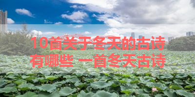 10首关于冬天的古诗有哪些 一首冬天古诗