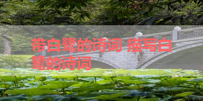 带白鹭的诗词 描写白鹭的诗词