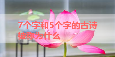 7个字和5个字的古诗被称为什么 