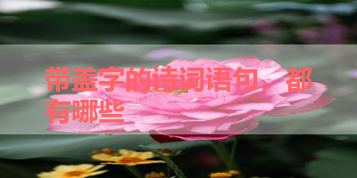 带盖字的诗词语句，都有哪些 