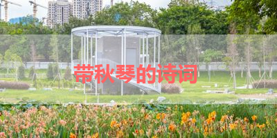 带秋琴的诗词 