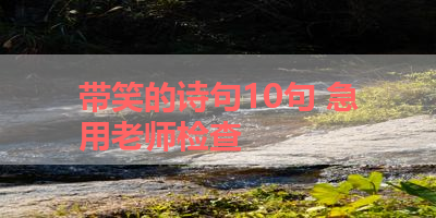 带笑的诗句10句 急用老师检查 