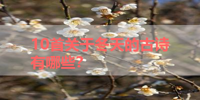10首关于冬天的古诗有哪些？ 