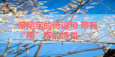 带翔字的诗词句 带有“翔”字的诗句 