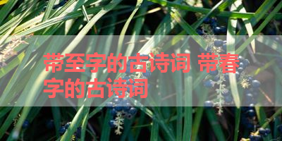 带至字的古诗词 带春字的古诗词
