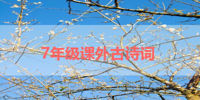 7年级课外古诗词 