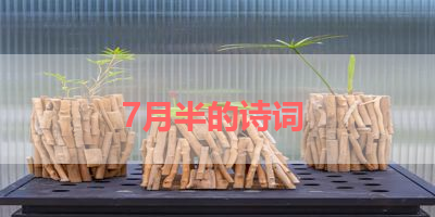 7月半的诗词 
