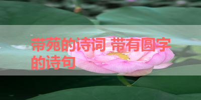 带苑的诗词 带有圆字的诗句 