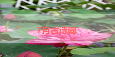 7月古诗词 
