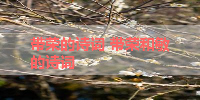 带荣的诗词 带荣和敏的诗词