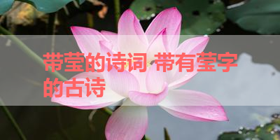 带莹的诗词 带有莹字的古诗 