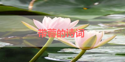 带蓉的诗词 