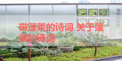 带蓬莱的诗词 关于蓬莱的诗词