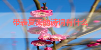 带表夏天的诗词有什么 